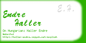 endre haller business card